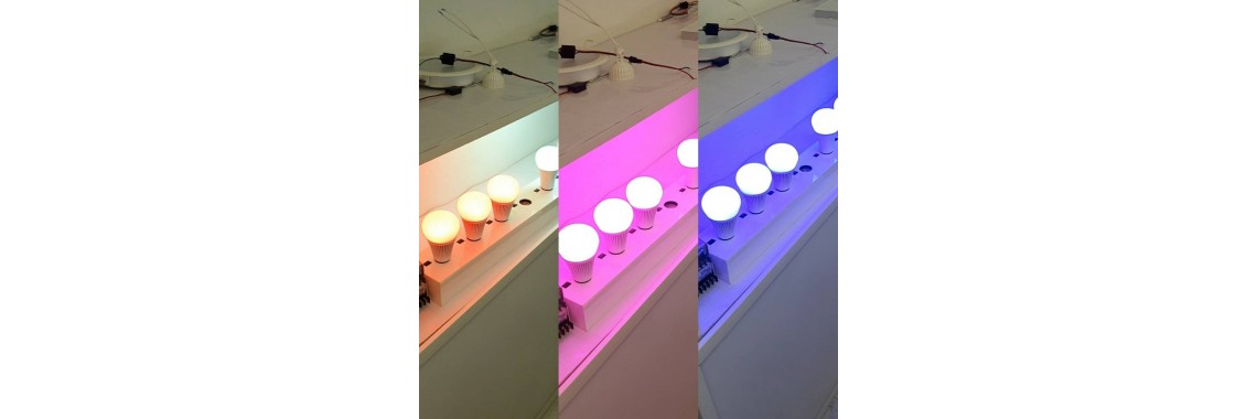LED 調光球泡系列